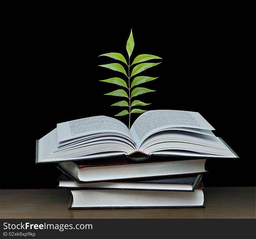 Tree growing from book