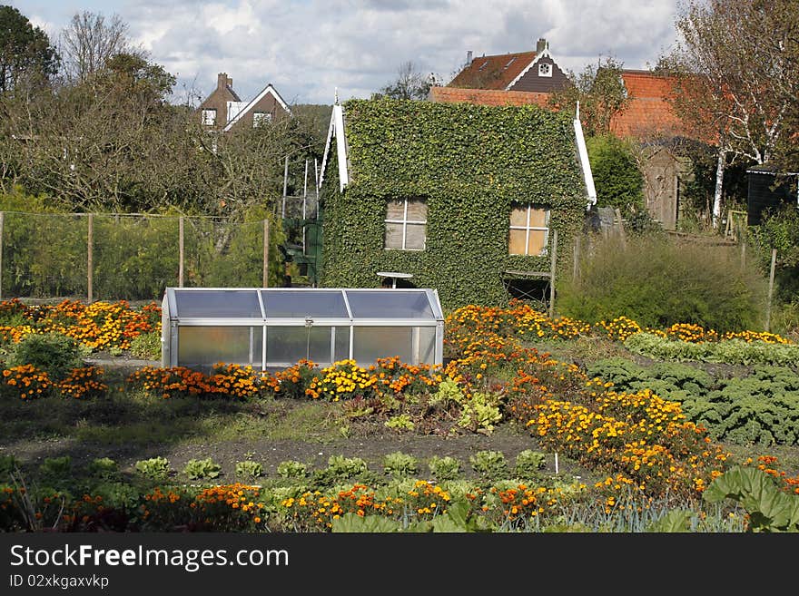 An overgrown little barn in a typical Dutch landscape. An overgrown little barn in a typical Dutch landscape