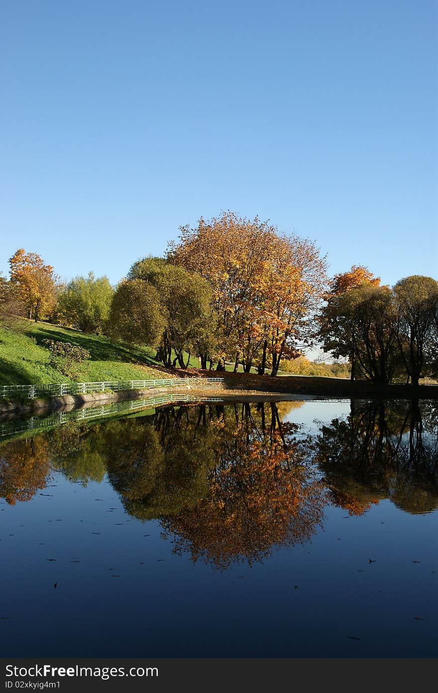 Fall in the forest. Reflection of autumn trees in the pond