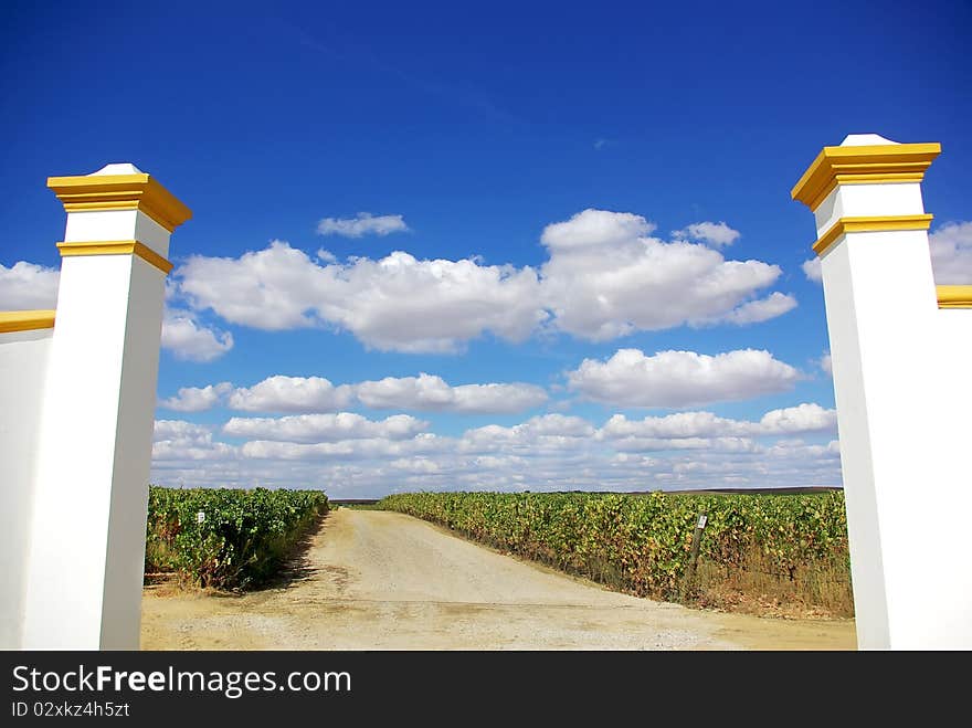 Entrance of vineyard.