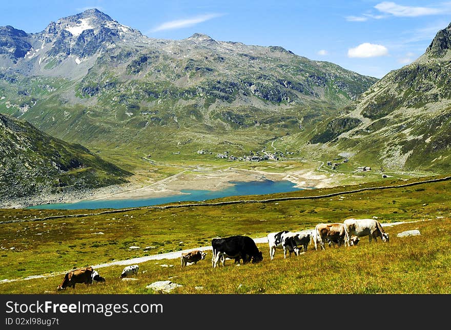 Spluga, a small tourist town in the Italian Alps. Spluga, a small tourist town in the Italian Alps