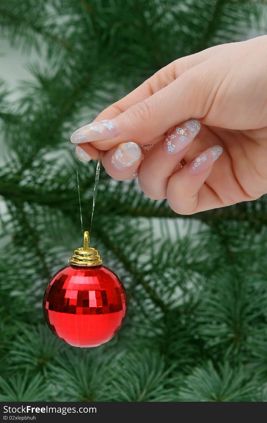 Female hand holding a Christmas ball on natural christmas tree. Female hand holding a Christmas ball on natural christmas tree