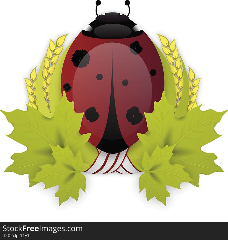 Illustrated vector Ladybird bug on green laurel wreath isolated on white background with shadows. Illustrated vector Ladybird bug on green laurel wreath isolated on white background with shadows