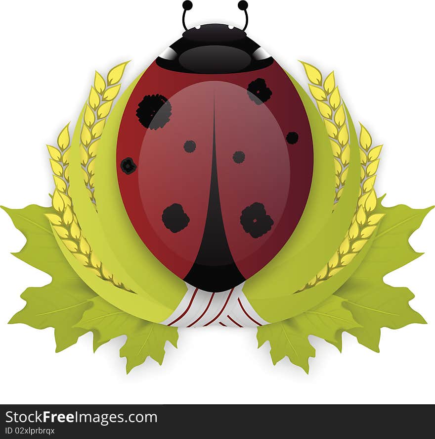 Illustrated vector Ladybird bug on green laurel wreath isolated on white background with shadows. Illustrated vector Ladybird bug on green laurel wreath isolated on white background with shadows