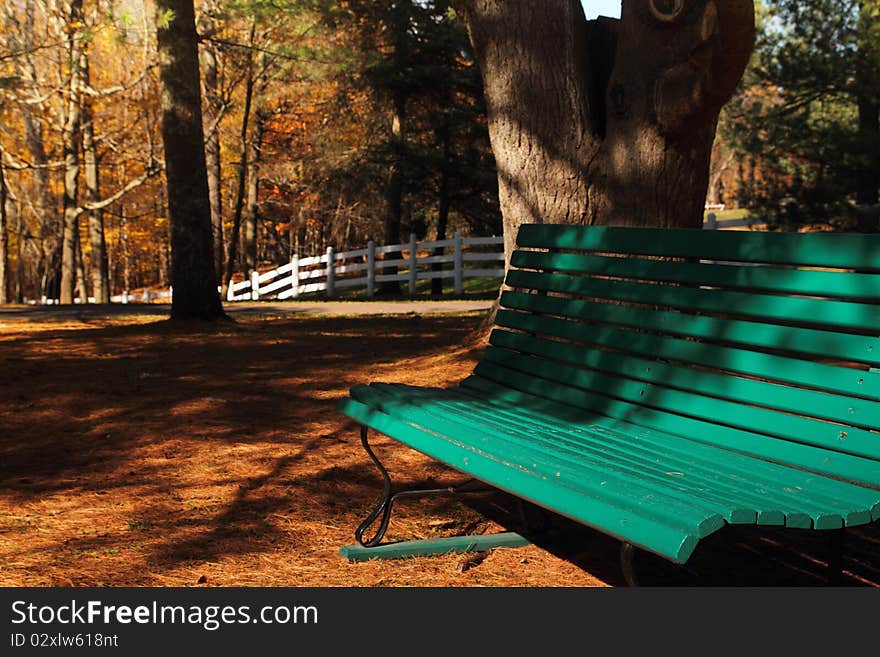 Park Bench