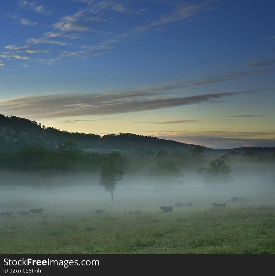 Rural landscape with foggy scene at dawn on square format