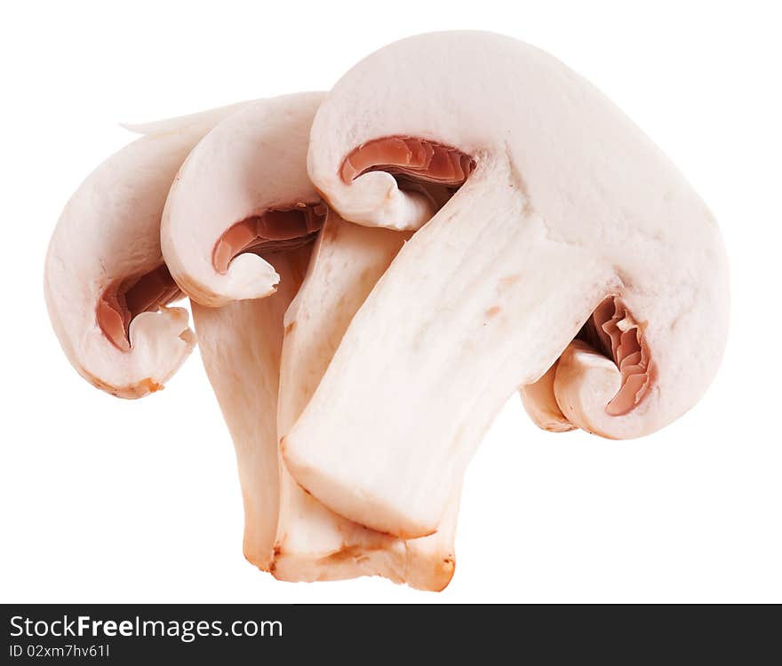 Fresh mushrooms champignons isolated on white background