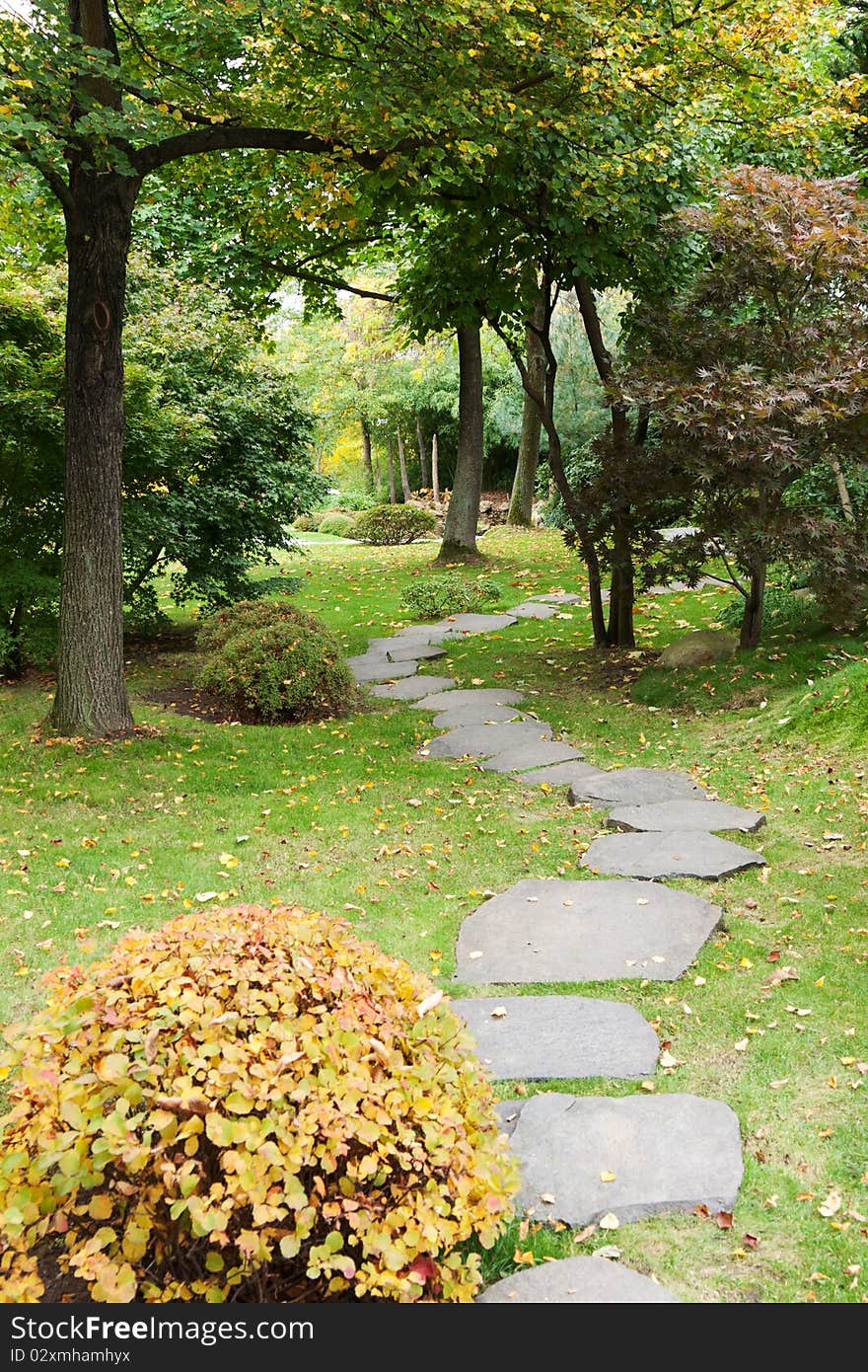 Path from stone in autumn park with green herb and tree