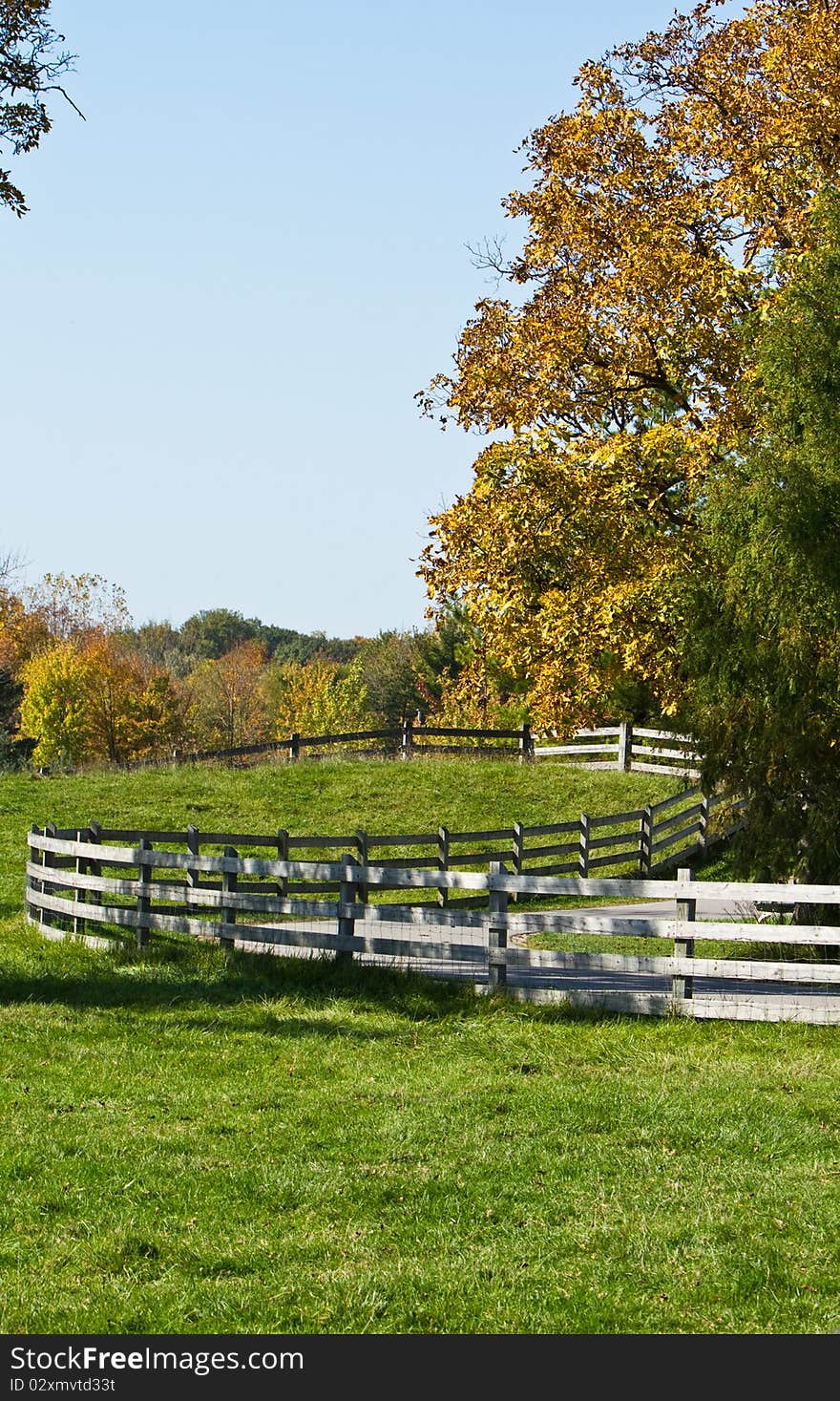 Autumn Farm Pasture