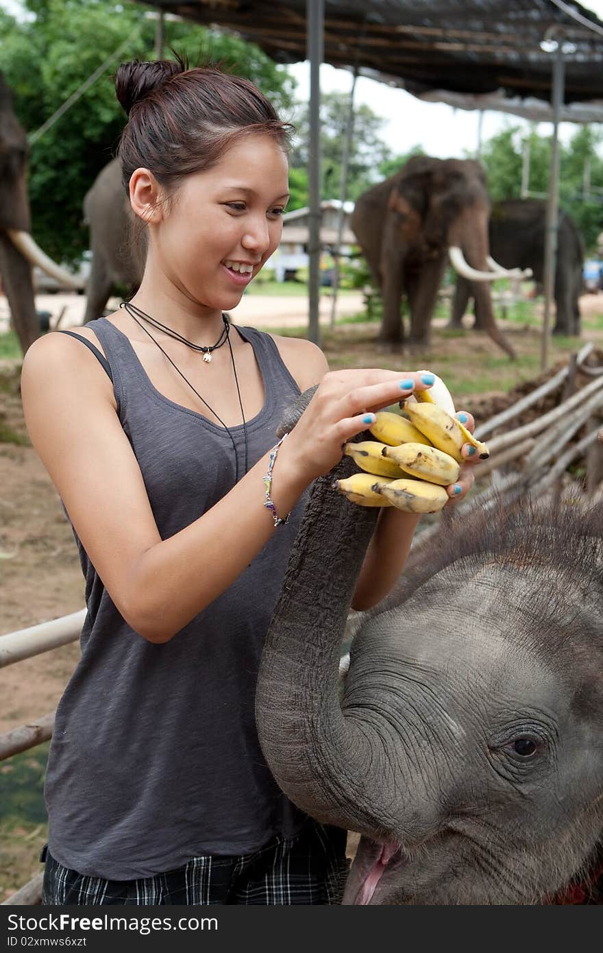 Girl Is Feeding Baby Elephant