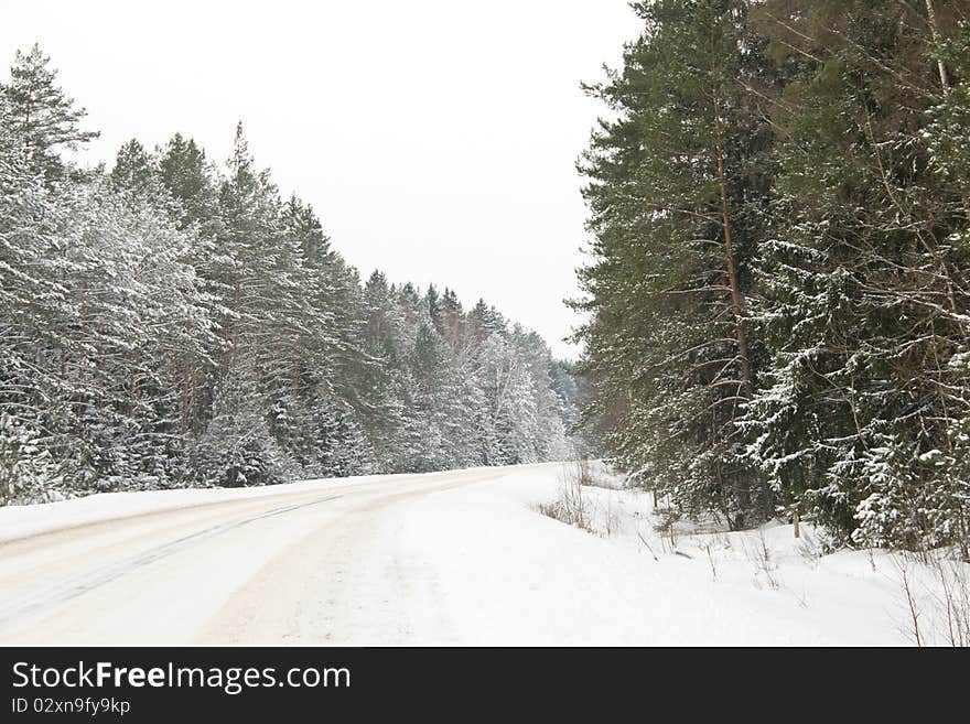 Country road in snow