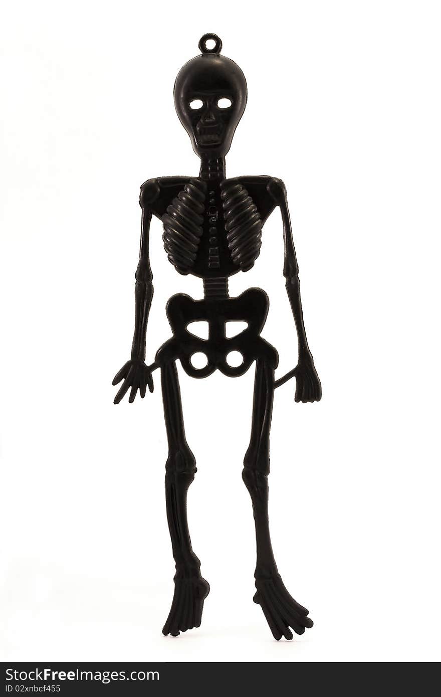 Black Plastic Skeleton Over White