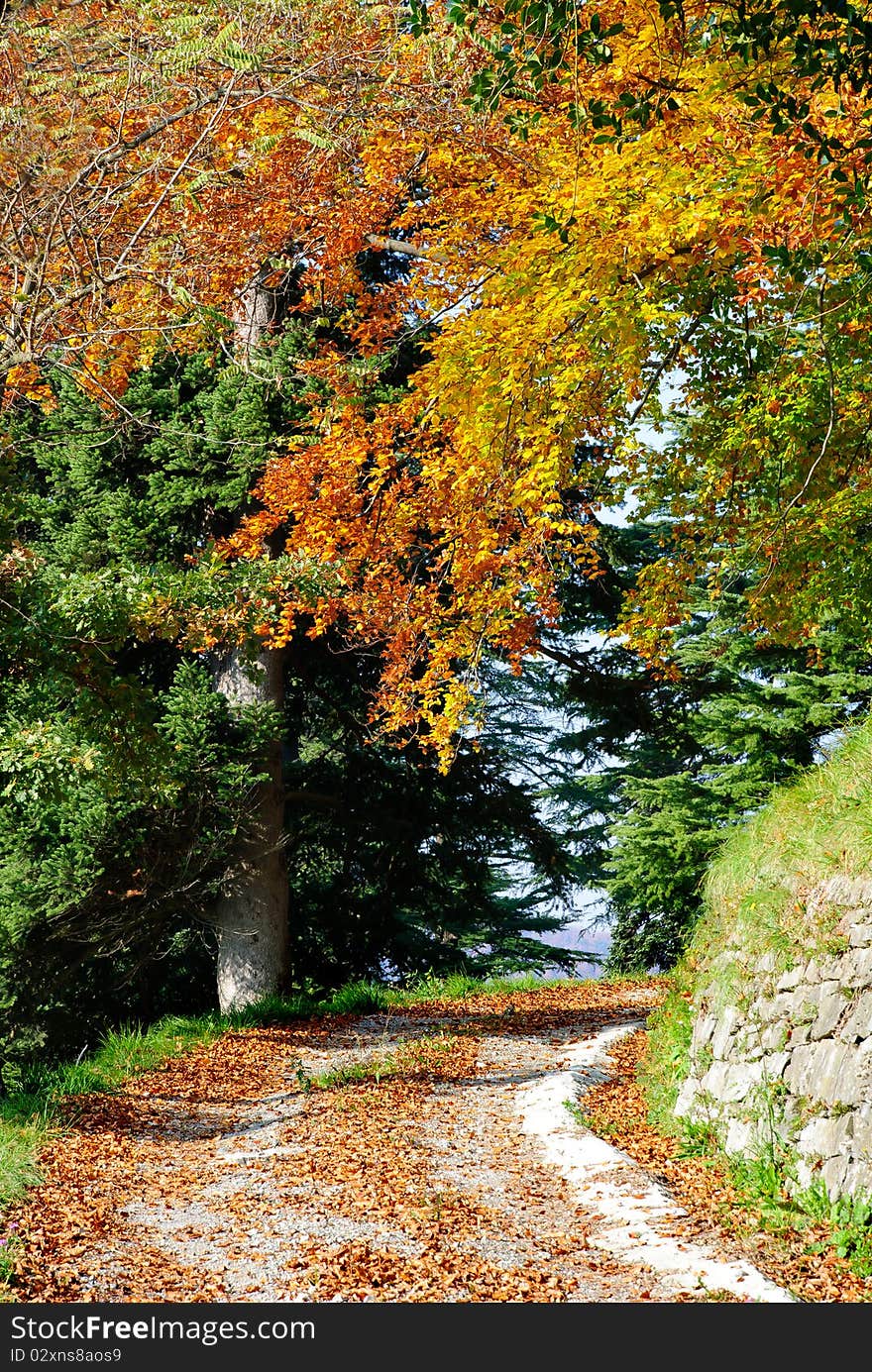 Autumn In Genoa