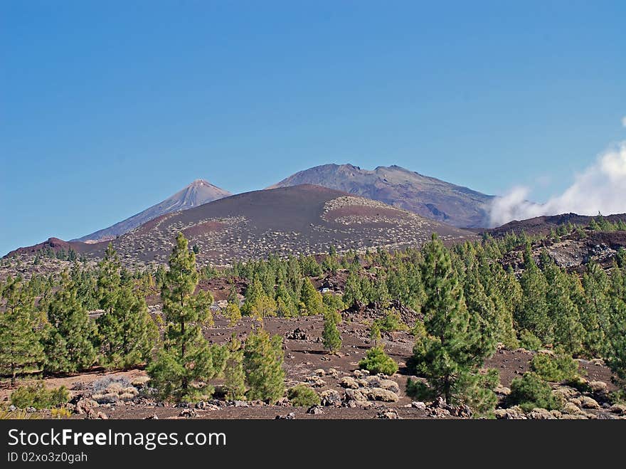 The famous teide of tenerife