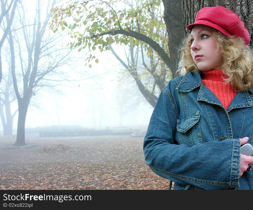 young woman in the autumn park. young woman in the autumn park