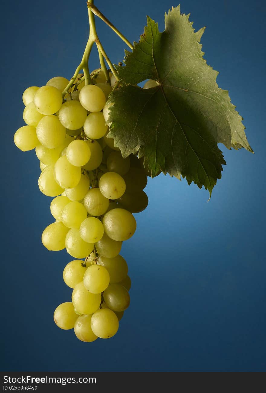 Bunch of grapes