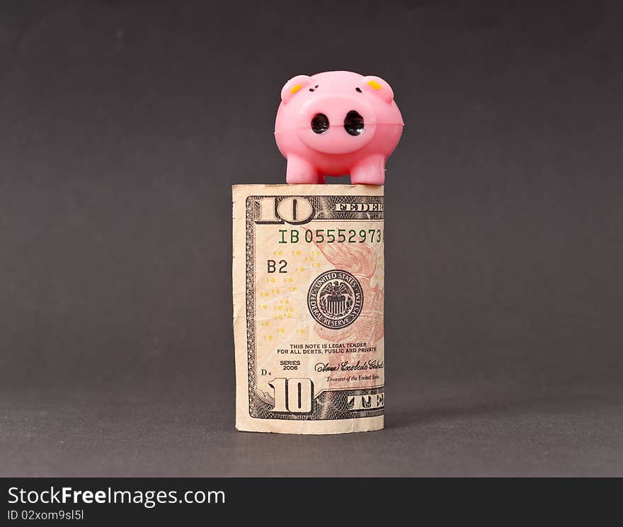 Little Pig on Ten Dollar Bill. Little Pig on Ten Dollar Bill