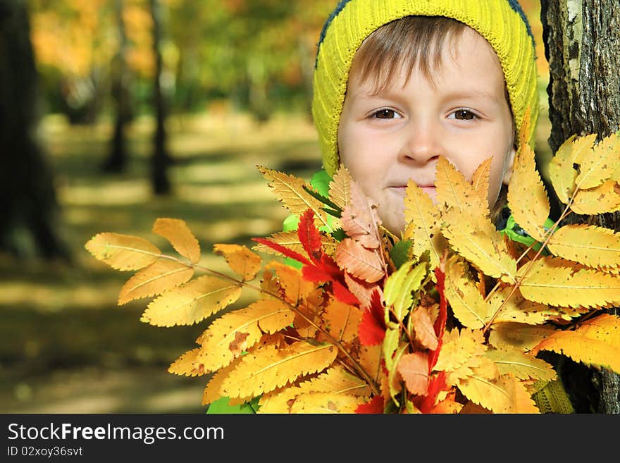 Foliage and boy