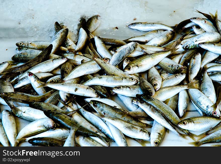 Fresh Fish In Market  .