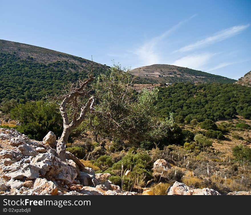 Panoramic landscape over Mountains in Crete, Greece. Panoramic landscape over Mountains in Crete, Greece