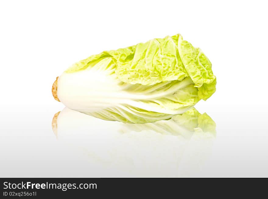 Fresh Lettuce