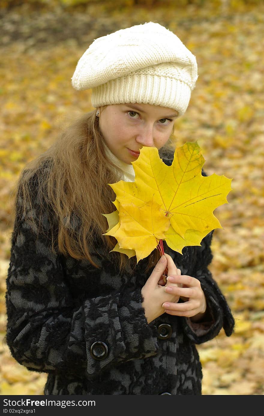 Girl holding yellow maple leaves. Girl holding yellow maple leaves