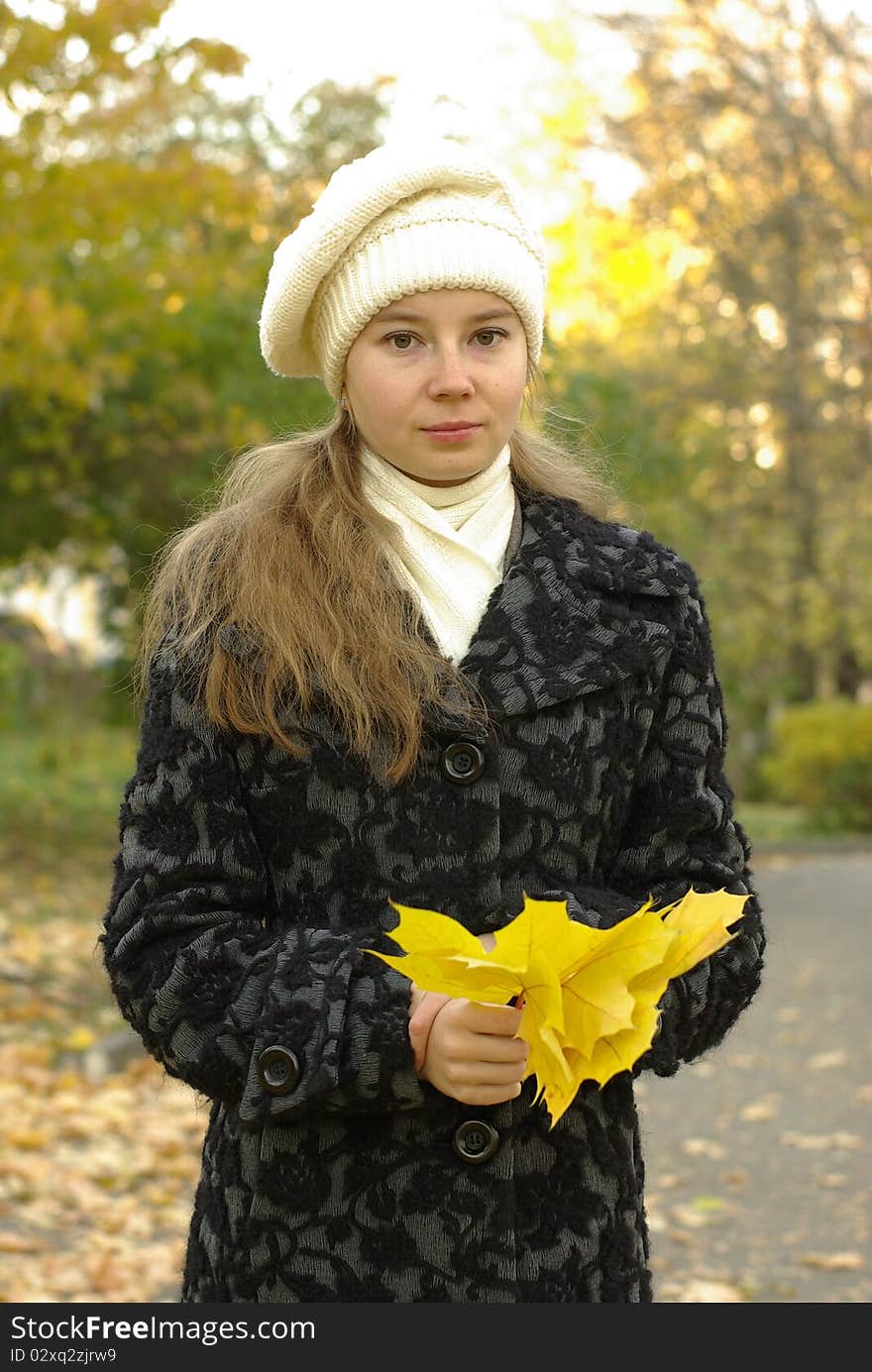 Girl holding yellow maple leaves. Girl holding yellow maple leaves