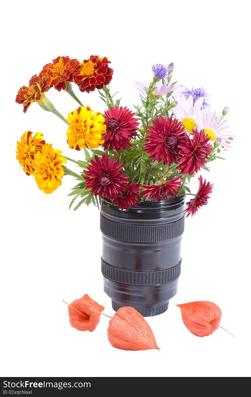 Bouquet of Flowers in the lens and physalis, isolated on a white background