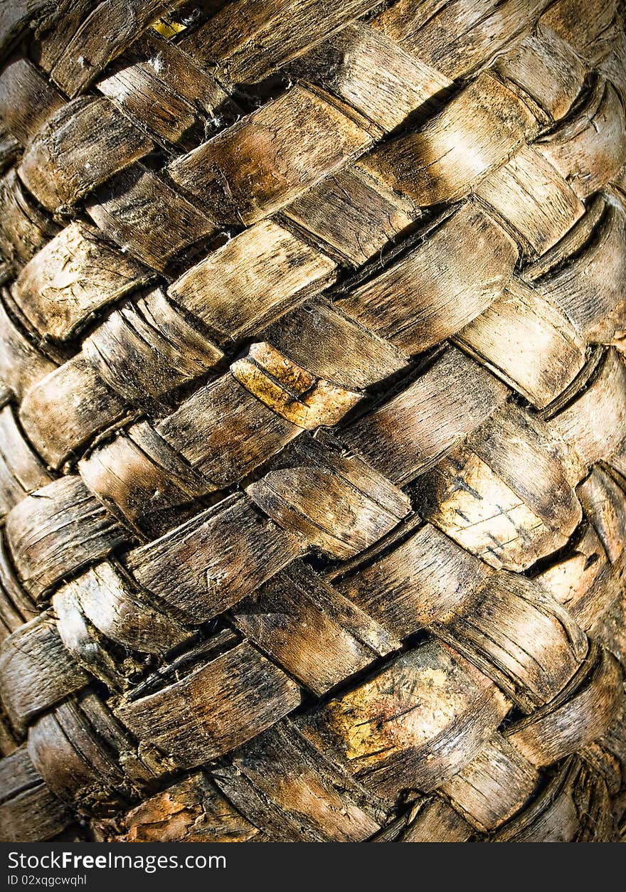 Tangle of old birch bark, background. Tangle of old birch bark, background