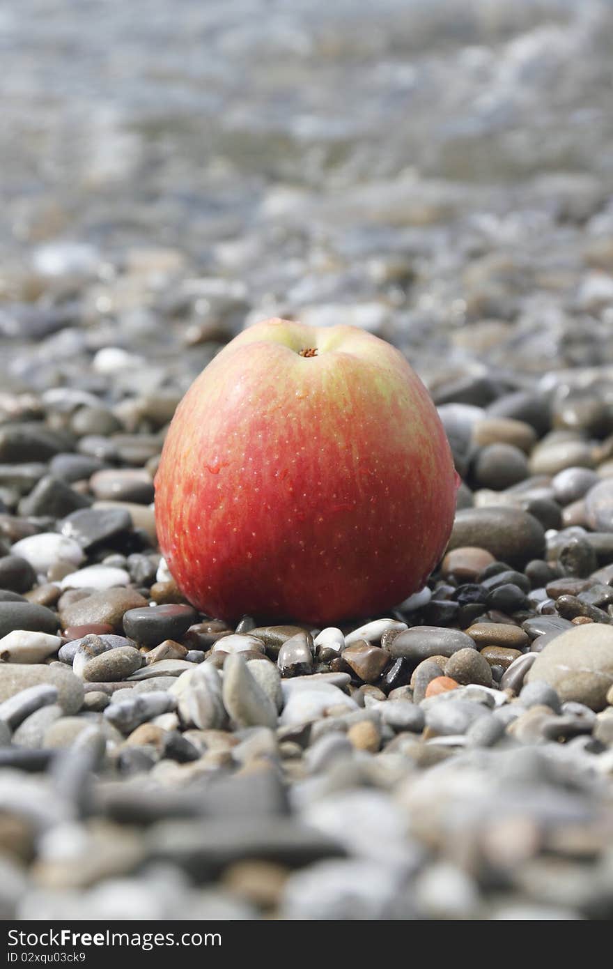 Apple on pebbles on the beach. Apple on pebbles on the beach.