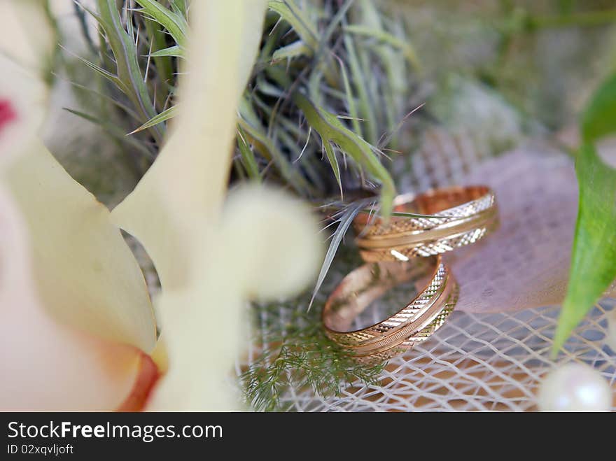 Gold Wedding Rings