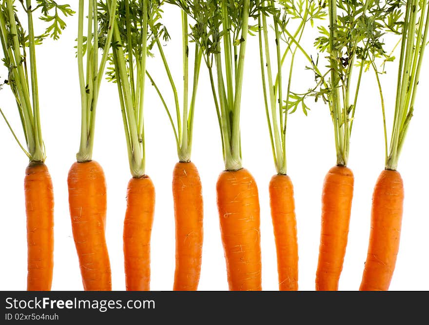 Carrots, completely isolated on white