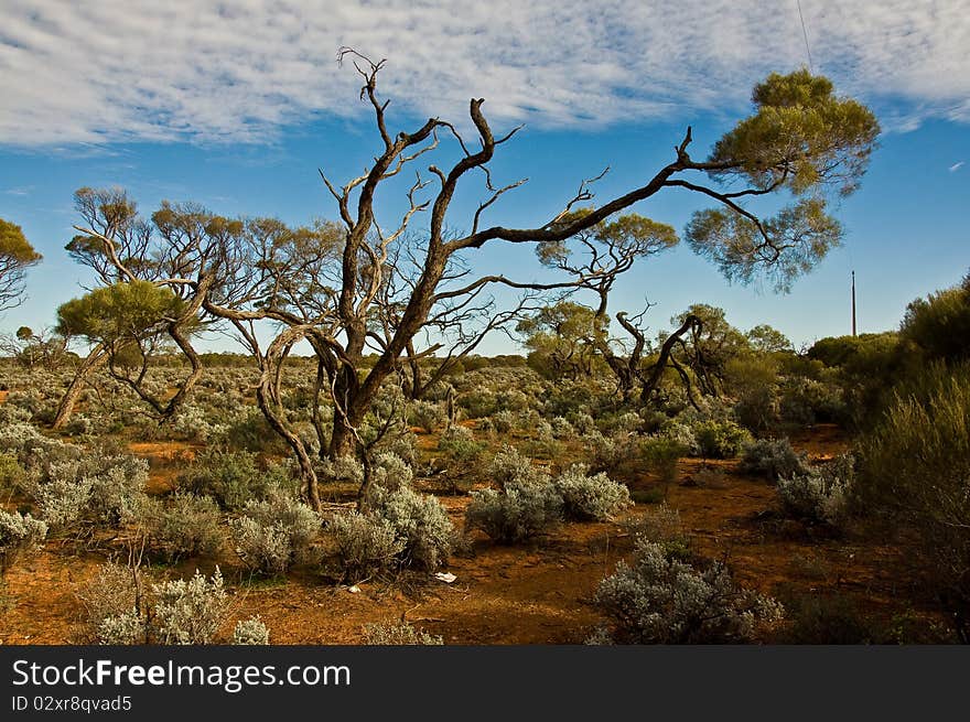 The australian landscape, south australia