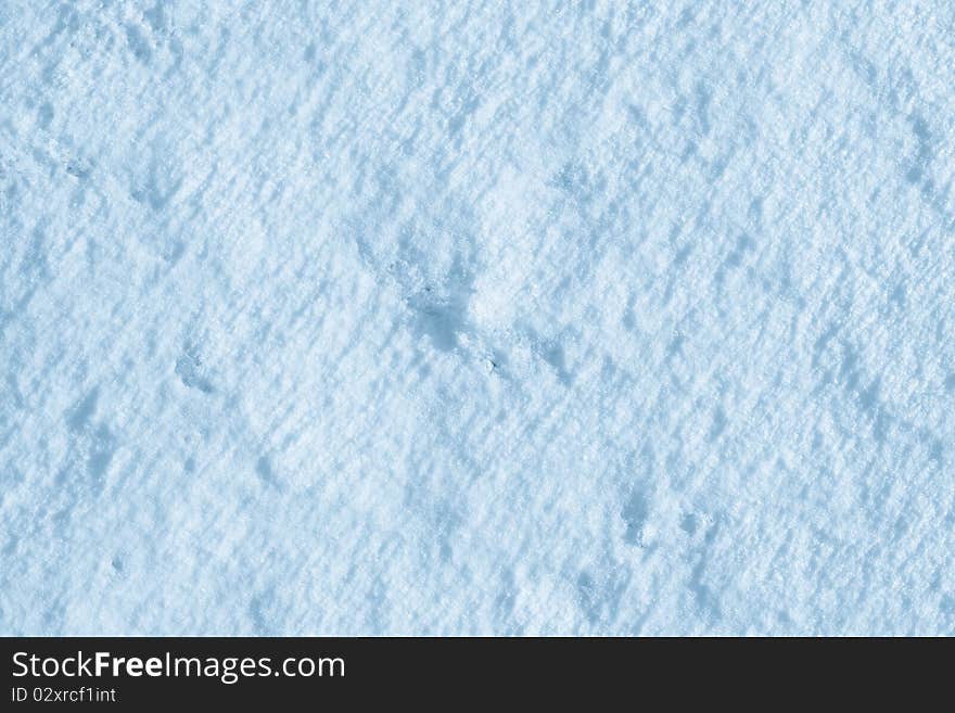 2140 Texture Of The Snow(0).jpg