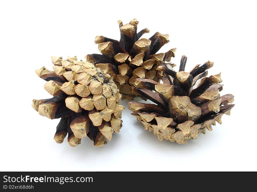 Pine cones