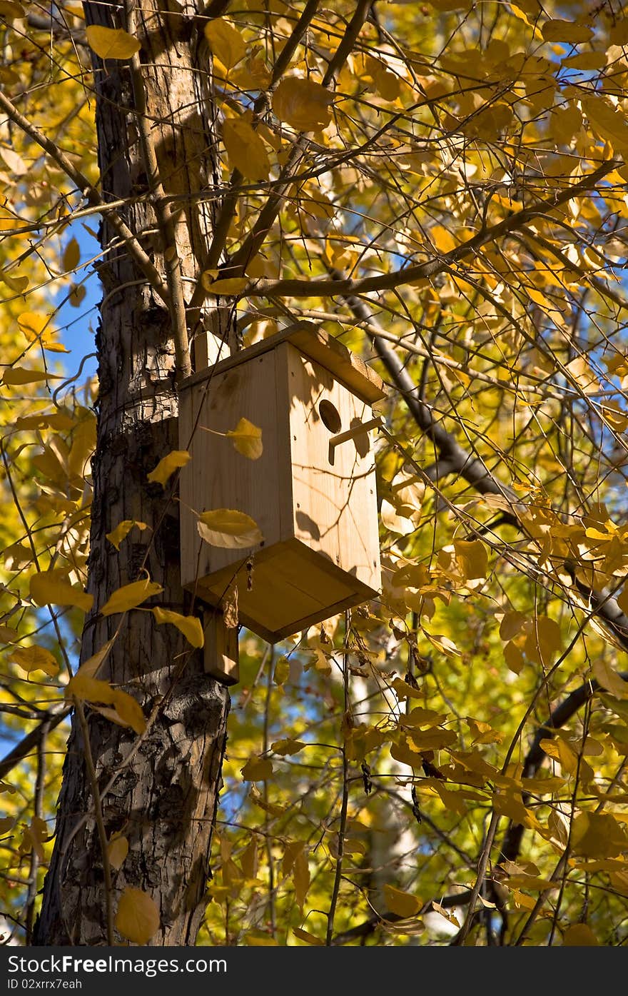 Birdhouse on a tree. Autumn yellow leaves and twigs.