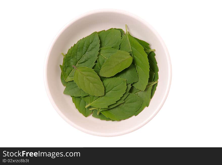 Basil fresh leaves