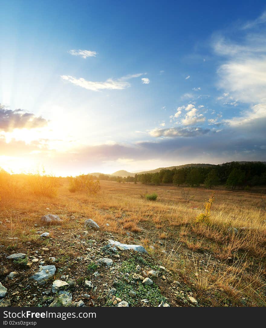 Sunset and big green meadow. Composition of nature.