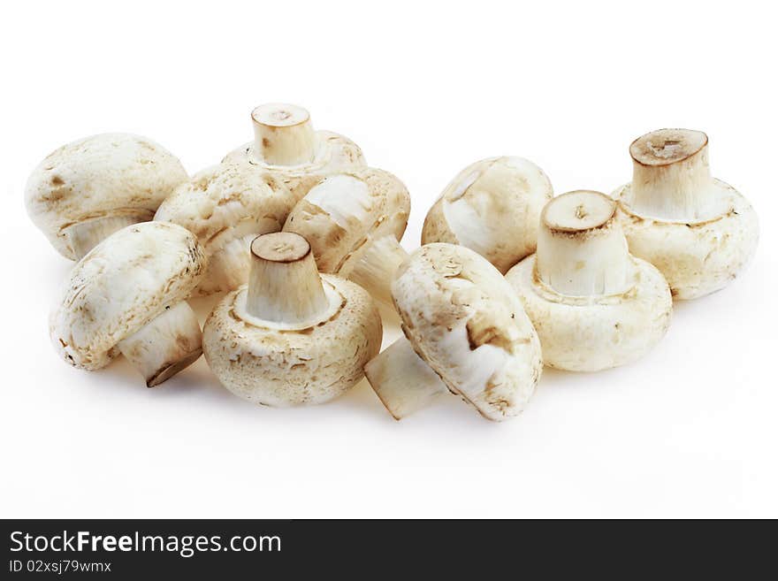 Mushrooms royal champignon on a white background