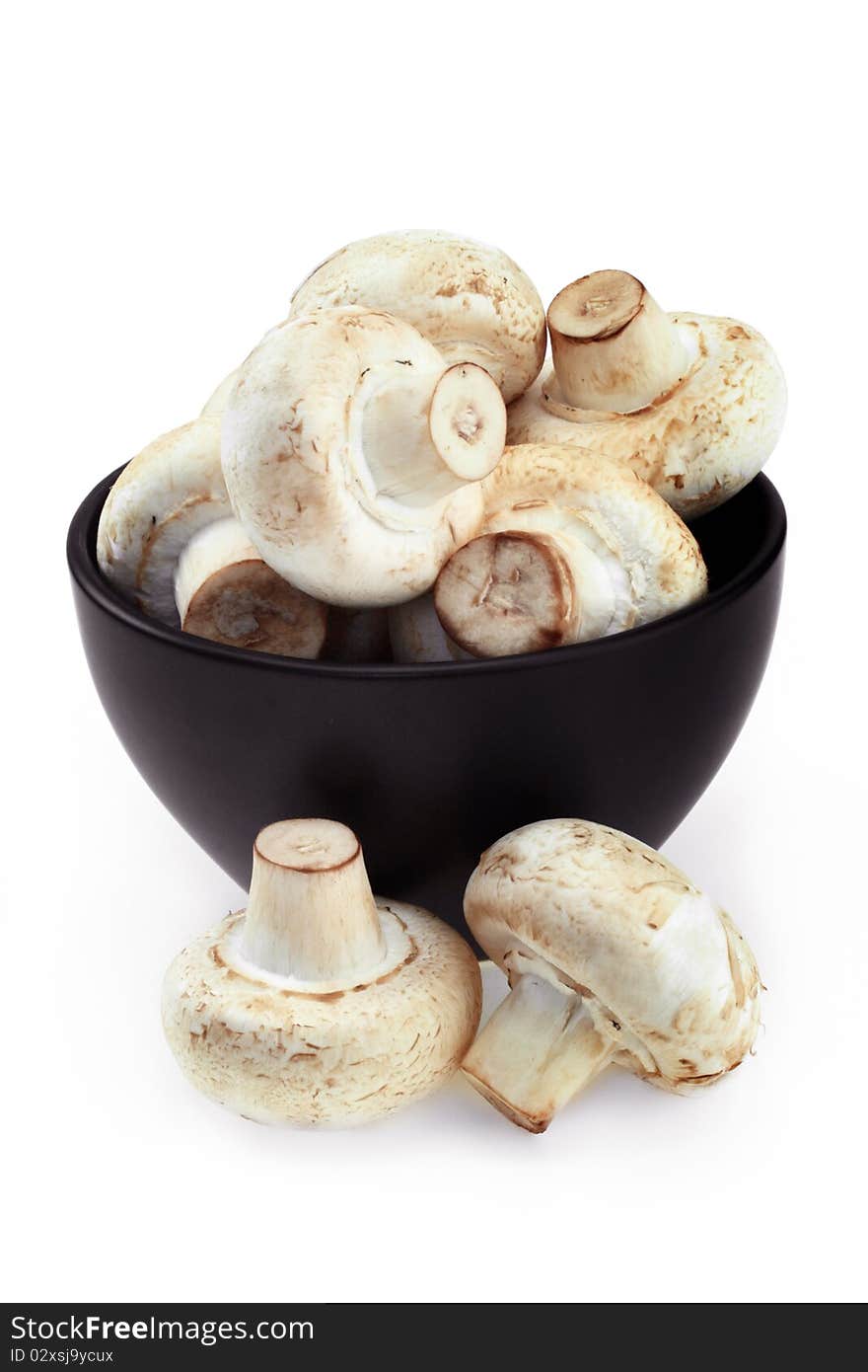 Mushrooms royal champigno