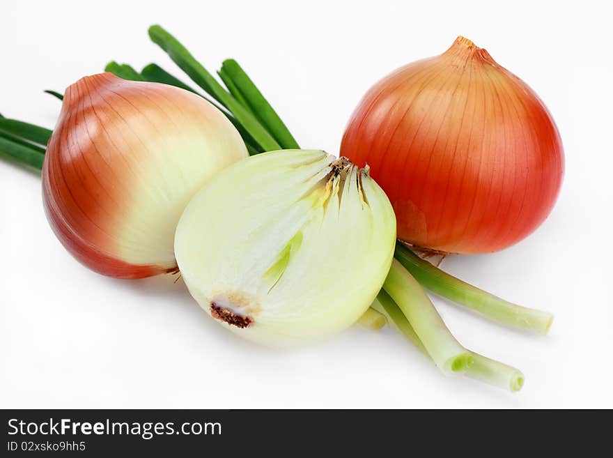 Fresh bulbs of onion on a white background