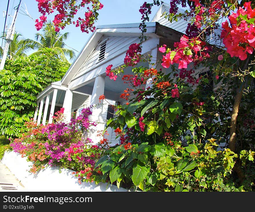 A house in Key West