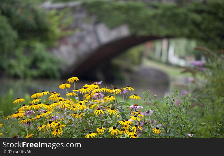 Gapstow bridge in summer central park, New York City