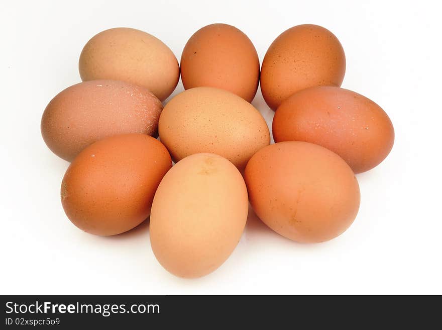 Nine eggs on white background.