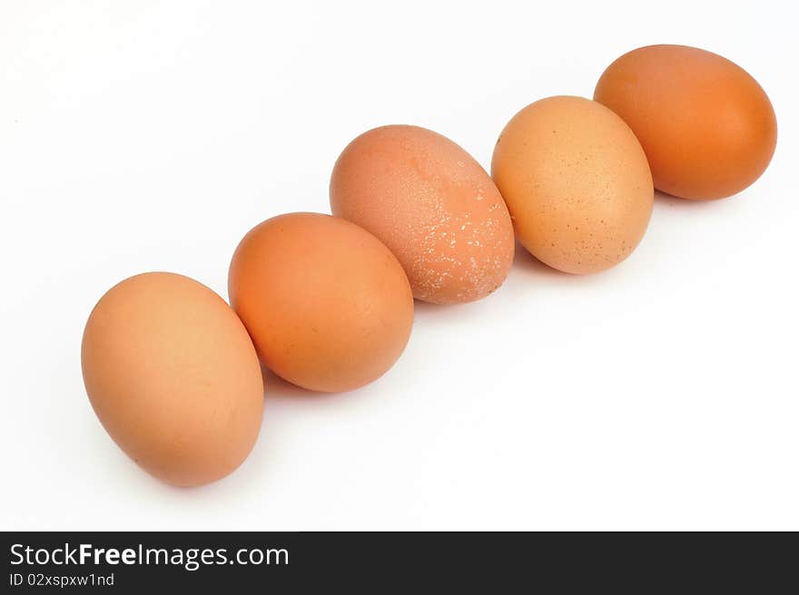 Five eggs on white background.