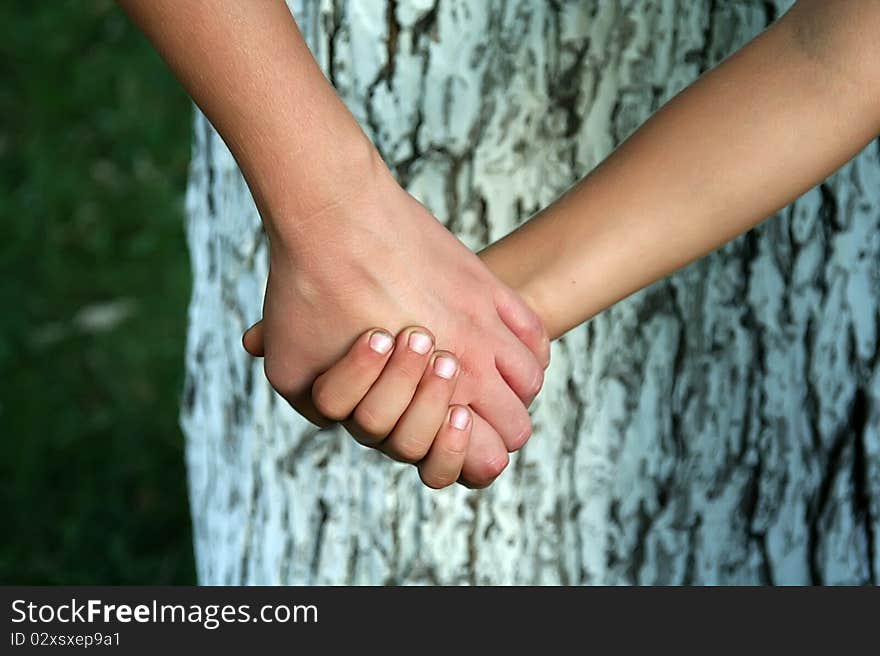 Hands of the mother and son