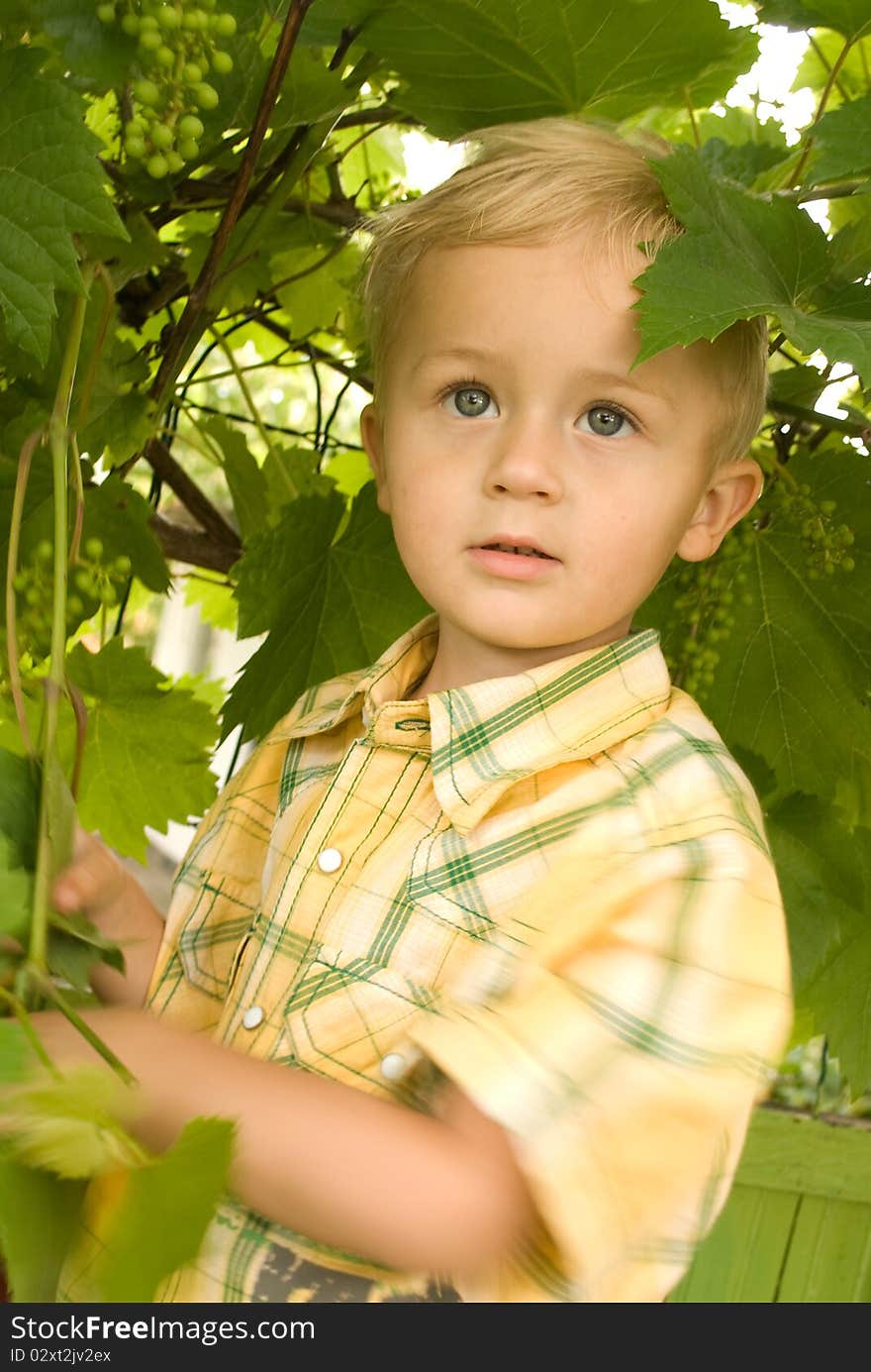 The boy in a garden, a portrait. The boy in a garden, a portrait.