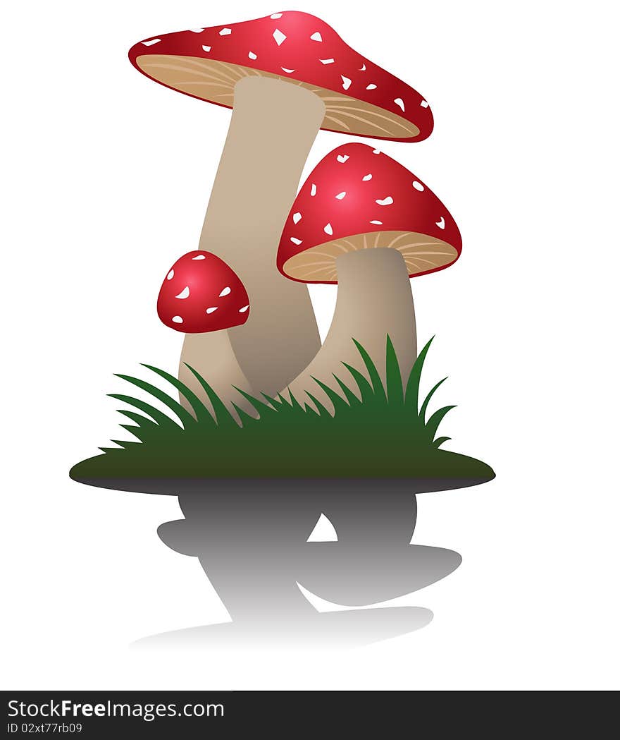 Mushroom