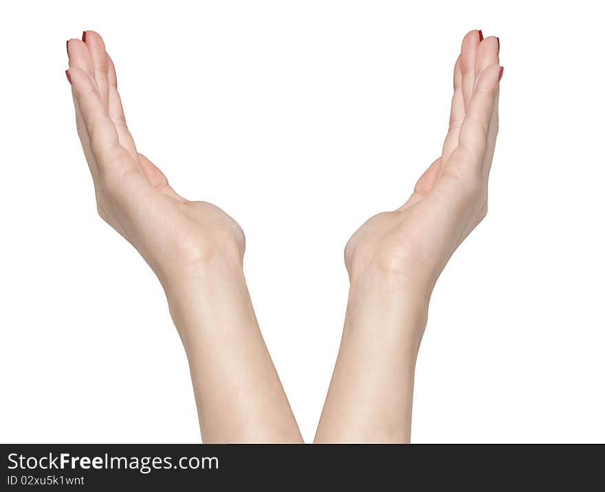 Hands isolated on white background