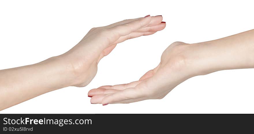 Two hands isolated on white background - copy space